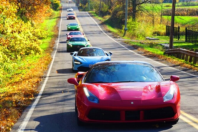 6 Hour Exotic Car Tour Driving 6 Super Cars Lunch - Reviews & Ratings