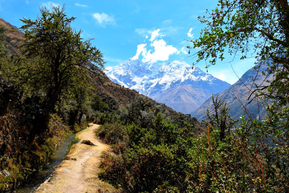 8 Day Cusco and Salkantay Trek to Machu Picchu - Day 1: Arrival in Cusco