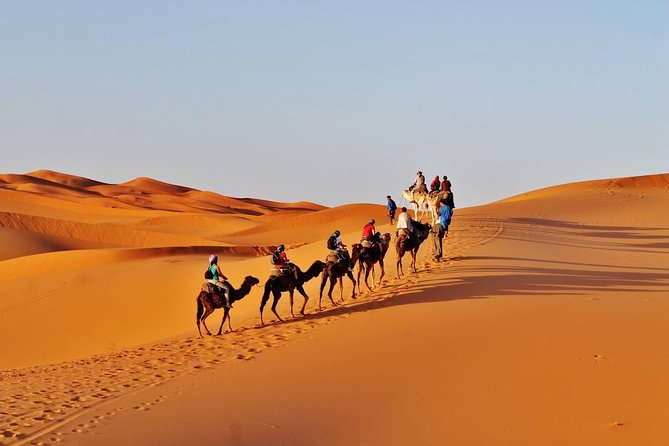 8 - Day Morocco Tour From Casablanca via Sahara Desert - Common questions