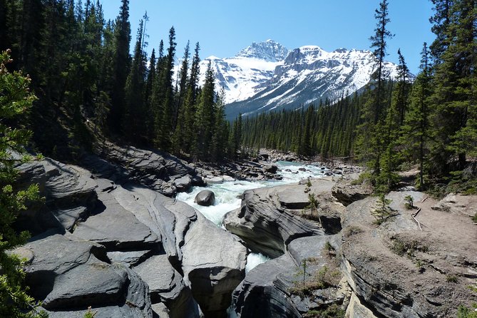 8-Day Rocky Mountains Caribou Tour From Vancouver - Traveler Ratings and Reviews