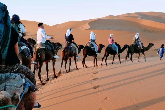 8 Days Tour From Casablanca to Merzouga Desert Fes and Marrakech - Cultural Experiences and Highlights