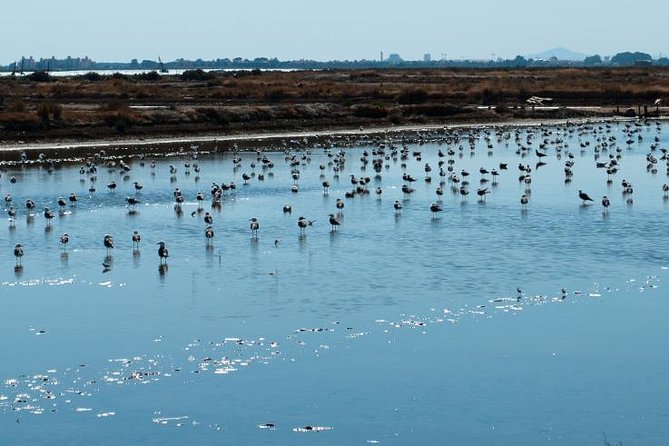 A Day Through the Doñana National Park and the Village of Rocio - Availability Details