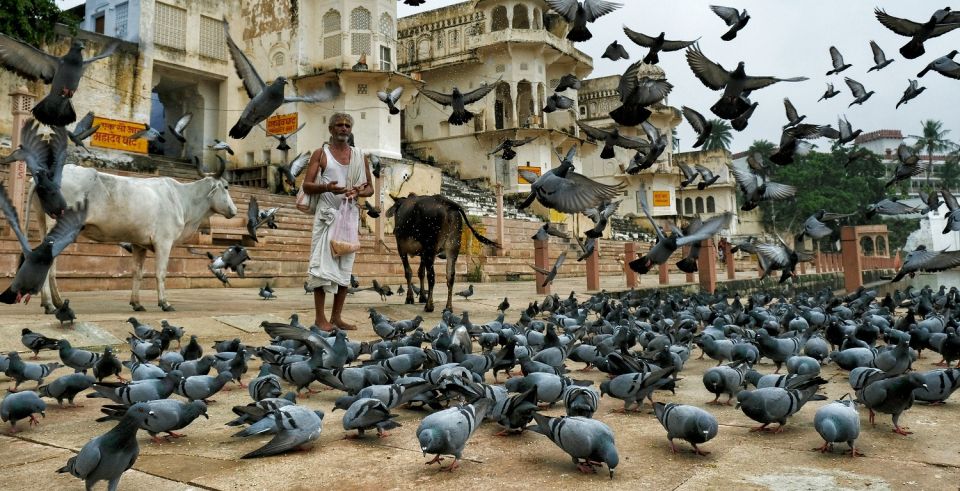 A Day Trip of Pushkar From Jaipur - Pick-Up and Drop-Off Details