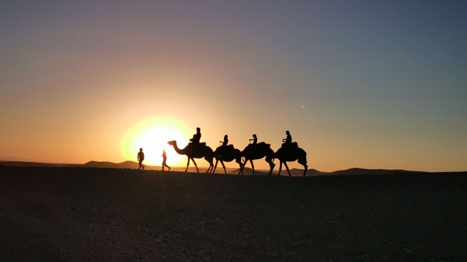 A Journey Through Time Telouet and Ait Ben Haddou Day Tour - Description of Activities