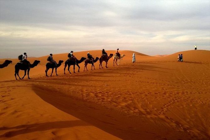 Abu Dhabi City Tour With Desert Safari Adventure - Common questions