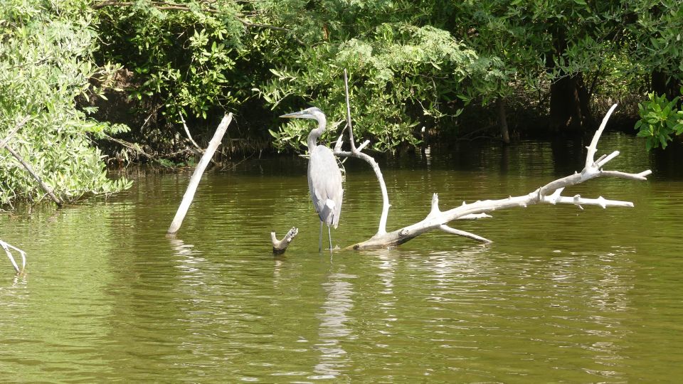 Acaculpo: Mezcal Tasting and 3 Palos Lagoon Tour With Lunch - Last Words