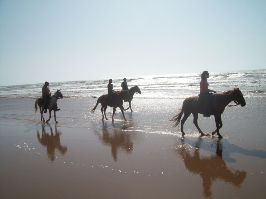 Agadir: Beach and Ranch Horse Riding Tour - Customer Reviews