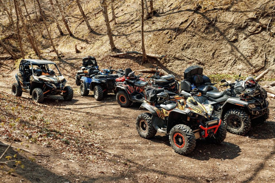 Agadir: Beach and Sand Dune Quad Biking Adventure - Customer Testimonials