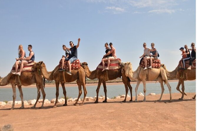 Agadir Camel Ride Experience - Booking Information