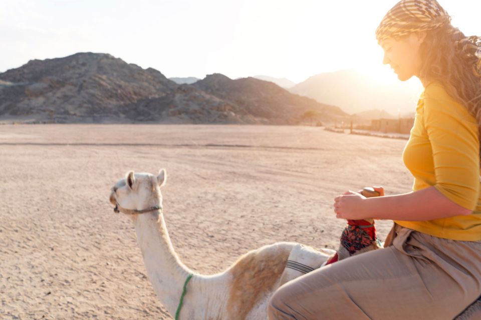 Agadir: Camel Ride With Tea - Additional Experience Insights