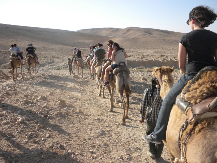 Agadir: Camel Riding Adventure With Authentic Moroccan Lunch - Directions
