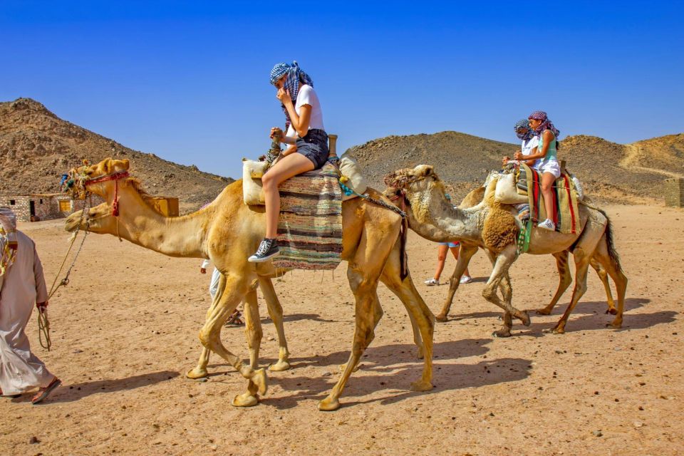 5 agadir flamingo river sunset camel ride with bbq diner Agadir: Flamingo River Sunset Camel Ride With BBQ Diner