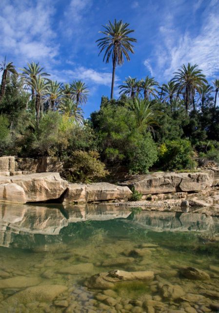 Agadir: Goat on Trees & Crocodile Park Including Hotelpickup - Additional Details