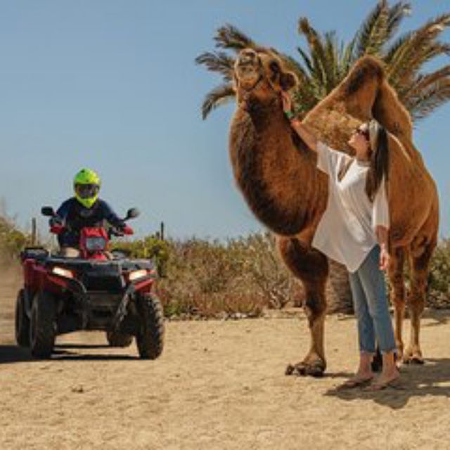Agadir Horse & Quad Bike Tour With Transfer - Shuttle Transfers
