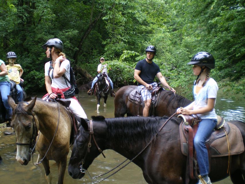 Agadir: Horse Ride Along the Souss River With Birdwatching - Directions