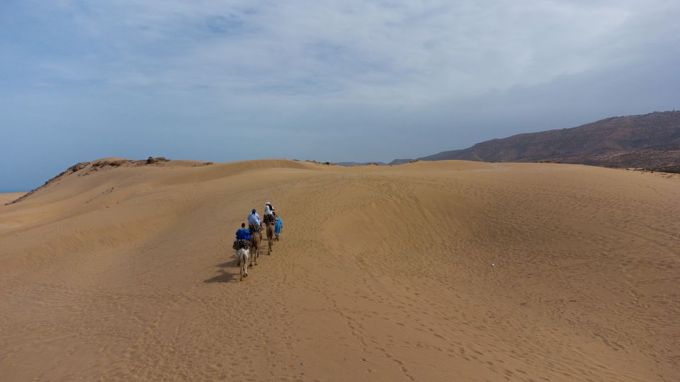 Agadir or Taghazout : Camel Ride in Desert Sand Dunes - Experience Highlights and Sunset Views