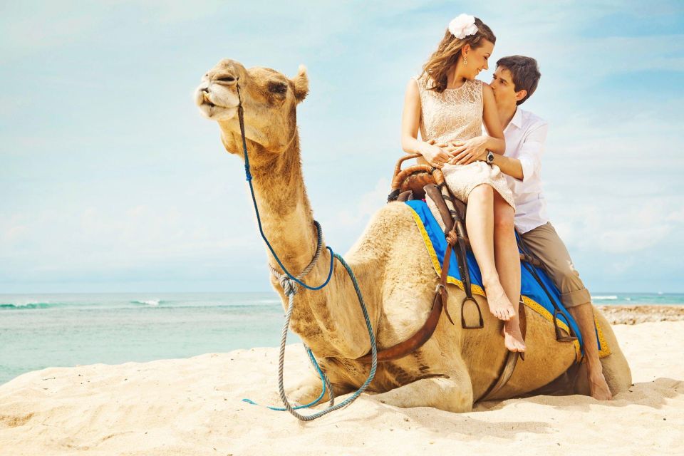 Agadir or Taghazout: Camel Riding and Flamingo River Tour - Reservation and Payment Details