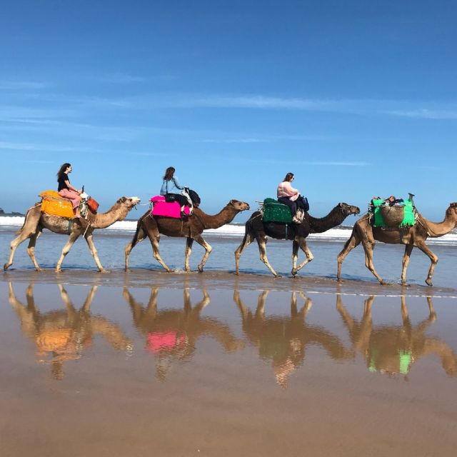 Agadir: Quad Biking and Camel Ride Experience - Additional Information