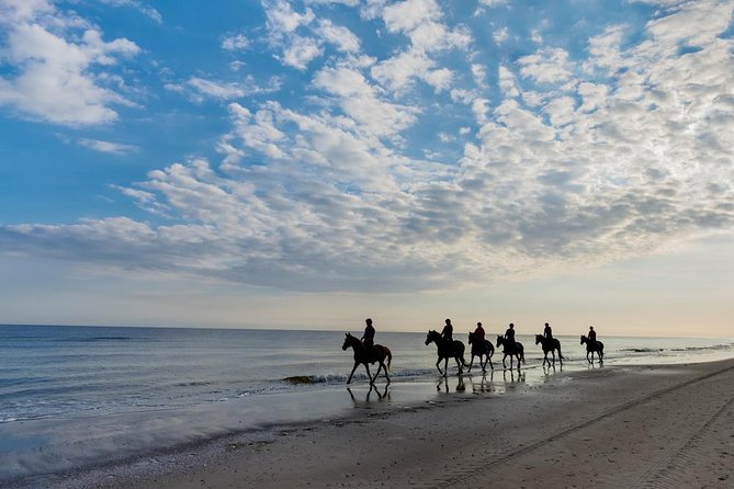 Agadir Small-Group Horseback Ride With Hammam - Last Words