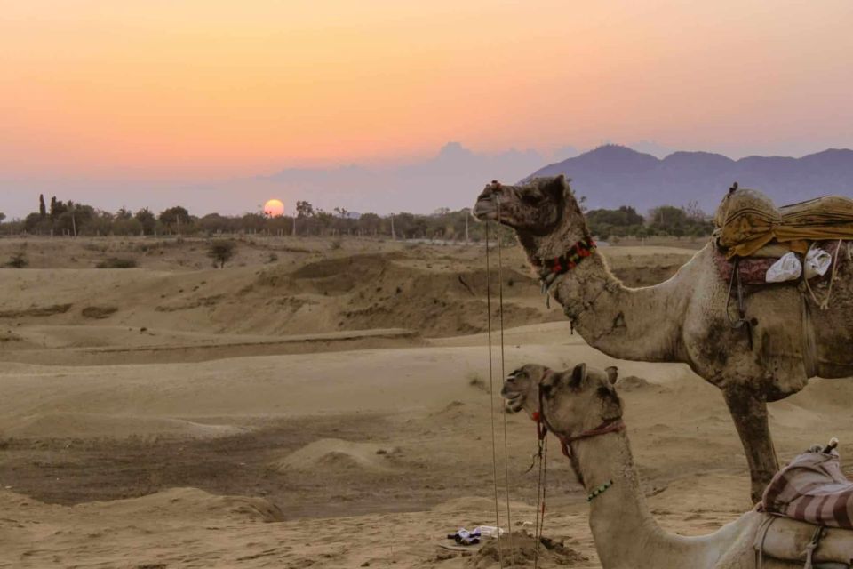 Agadir: Sunset Camel Ride, Flamingo River Tour & Drink - Tour Location