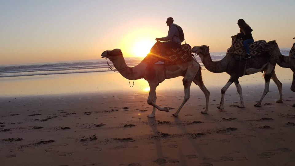 Agadir: Sunset Camel Riding Experience And Relaxing Massage - Instructor Language Options