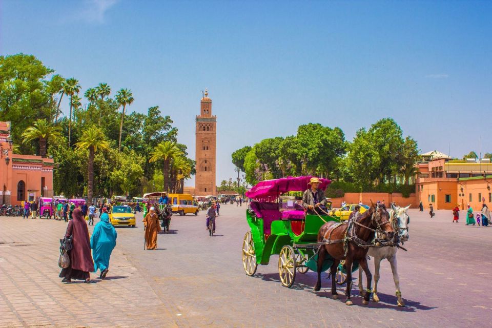 Agadir/Taghazout: Marrakech Trip With Licensed Tour Guide - Inclusions