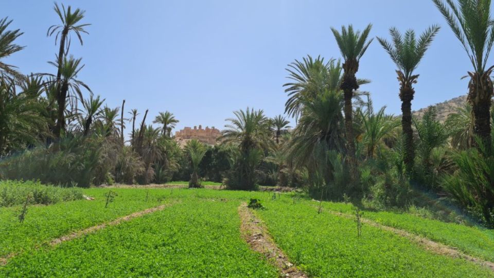 Agadir Taghazout : Taroudant Guided Trip Including Lunch - Common questions