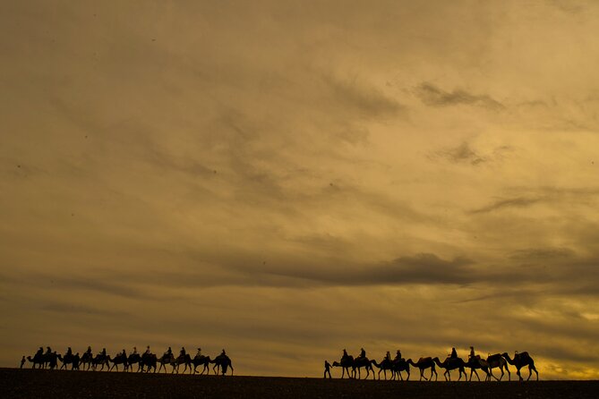 Agafay Desert - Quad, Camel, and Dinner Show - Directions for Content Organization