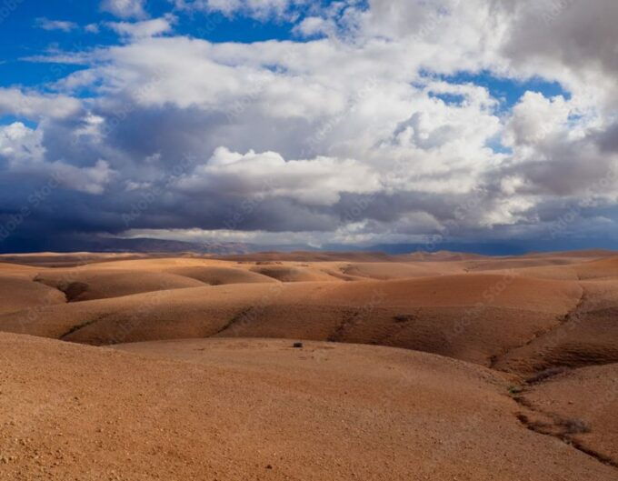 Agafay Guided Camel Riding and Dinner Under Stars - Additional Information and Services