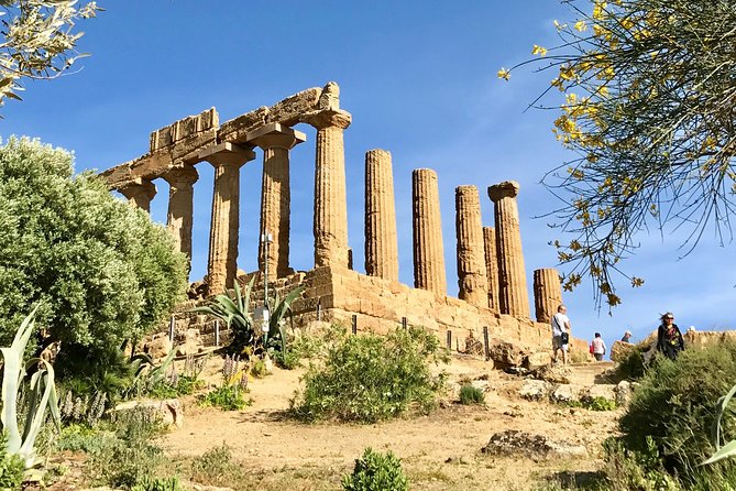 AGRIGENTO Valley of Temples Private Tour From Palermo With Guide Driver - Contact and Additional Details