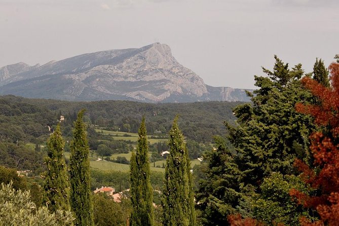 Aix En Provence Wine Tour "Cézanne and the Winegrowers" - Cézannes Influence
