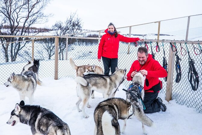 Akureyri Dog Sledding Private Experience - Cancellation Policy