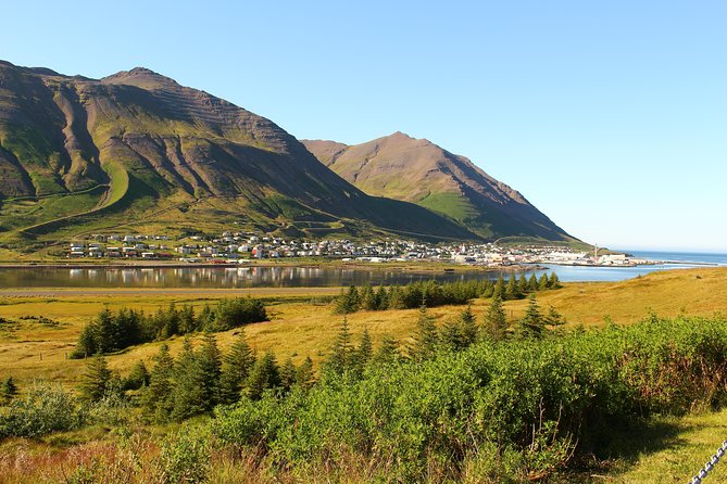 Akureyri to Siglufjodur via Northern Landscapes: Private Tour - Common questions