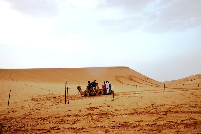 Al Ain Desert Safari With Buffet Dinner - Traveler Ratings and Reviews