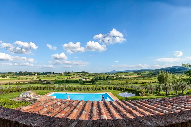 Al Fresco Lunch and Wine Tasting Under the Olive Trees  - Montepulciano - Convenient Logistics and Meeting Details