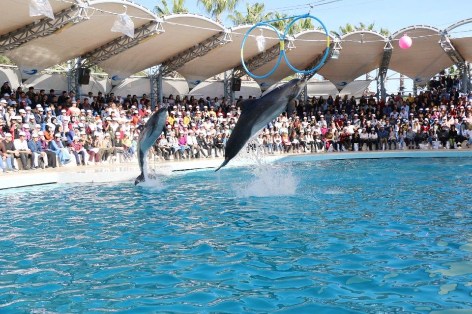 Alanya Dolphin Show Tour - Sealanya Dolphinpark - Additional Information