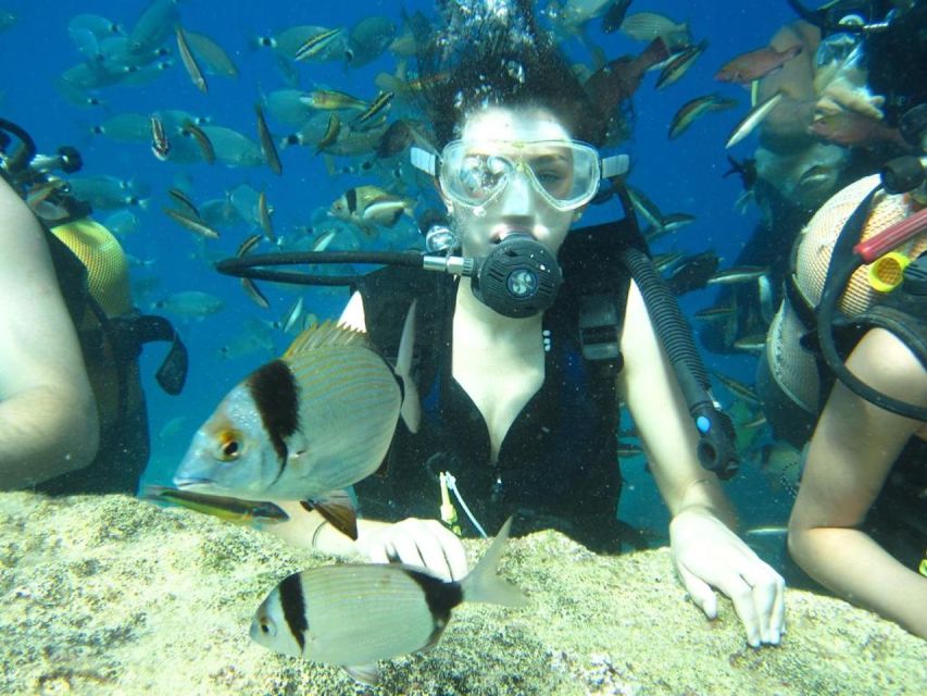 Alanya: Scuba Diving Experience With Lunch - Directions