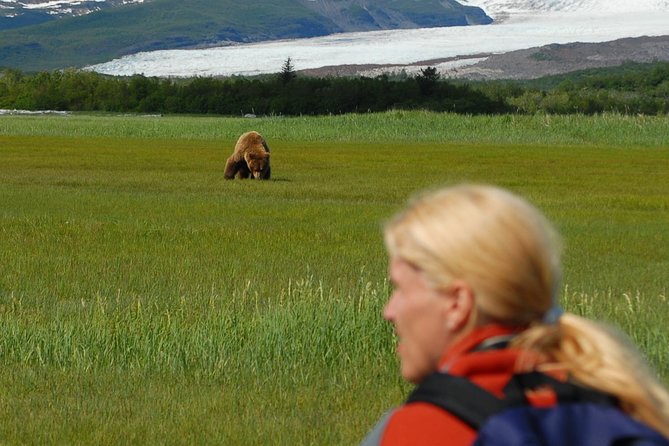 Alaska Bear-Viewing Day Trip From Homer - Seasonal Bear Migration