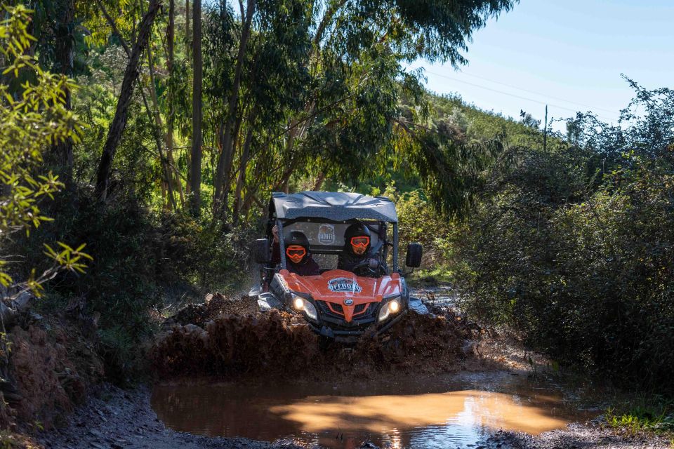 Albufeira: Countryside Buggy Tour - 4 Hours - Common questions