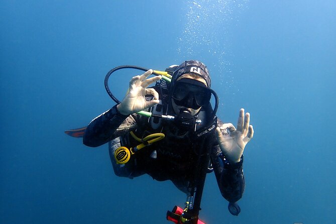 Albufeira Two-Dive Trip for Certified Divers - Common questions