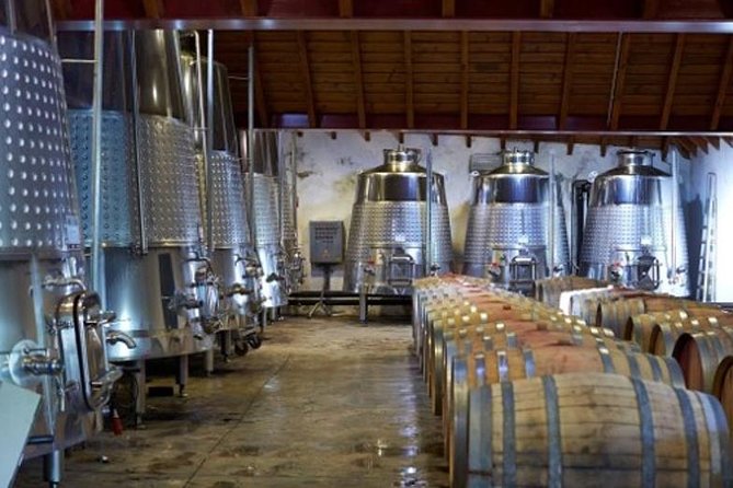 Algarve Wine Tour of Two Wine Estates - Traveler Feedback Highlights