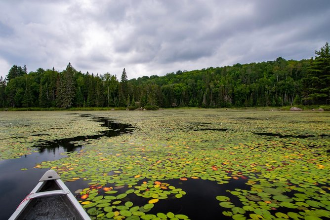 Algonquin Park Private Canoe Trip  - Ontario - Language Options