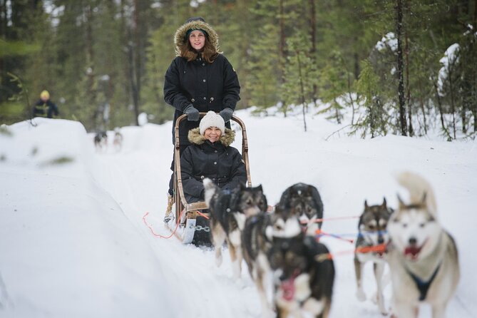 All in One Santa Claus Village With Dog Sledding Adventure - Last Words