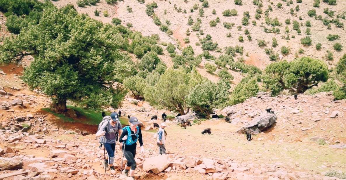 All-Inclusive 2 Days Hiking in the Atlas Mountains - Key Highlights of the Experience