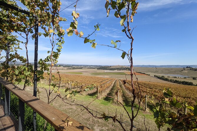 All Inclusive Full Day Private Wine Tour - Tastes of the Yarra Valley - Private Guide Information