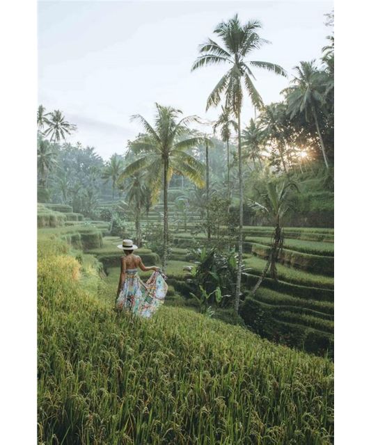 All Inclusive: Ubud Highlights Private Guided Tours - Location Focus: Ubud, Bali