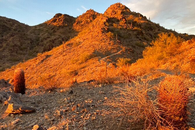 Amazing 2-Hour Guided Hiking Adventure in the Sonoran Desert - Cancellation Policy and Refunds