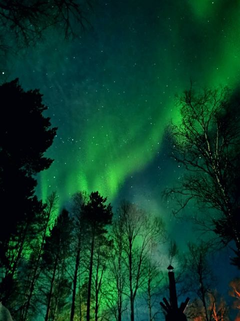 Amazing Aurora With BBQ in the Best Spot in Rovaniemi! - Additional Information