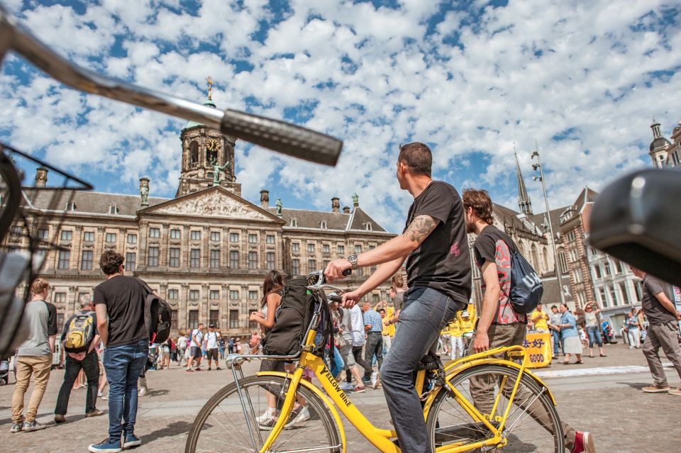 Amsterdam: 2-Hour City Highlights Guided Bike Tour - Customer Reviews and Testimonials
