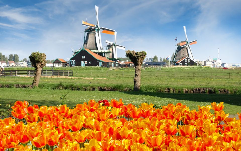 Amsterdam: Keukenhof and Zaanse Schans Windmills Day Trip - Review Summary